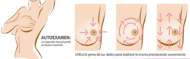 file (1).png