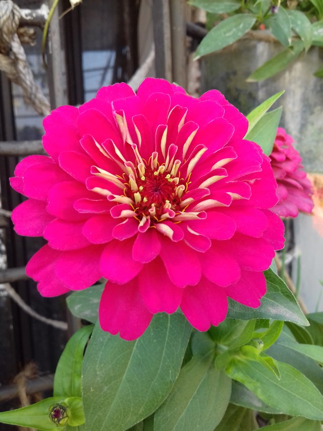 20190215_144918.jpg