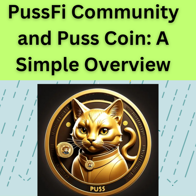 Pussfi Coin_The Token Economy _Tokenomics__20250108_073108_0000.png