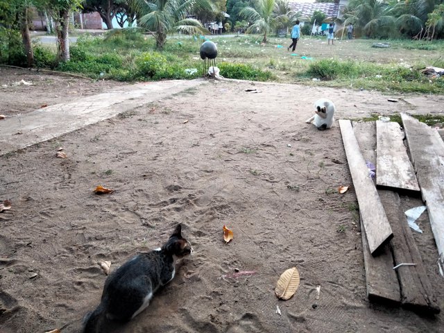 IMG20250831181927.jpg