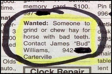 chew-hay-for-horse-funny-job-ads.jpg