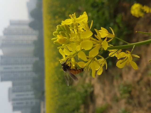 20181223_124933.jpg