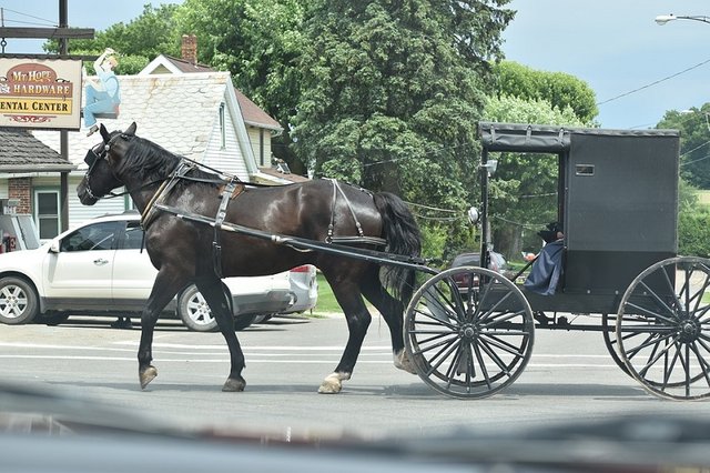 amish-2393639_960_720.jpg