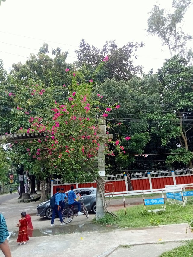 IMG20250824124206.jpg