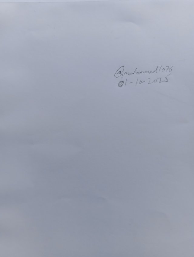 1000110082.jpg