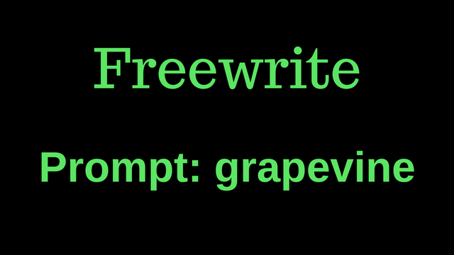 Freewrite (2).png