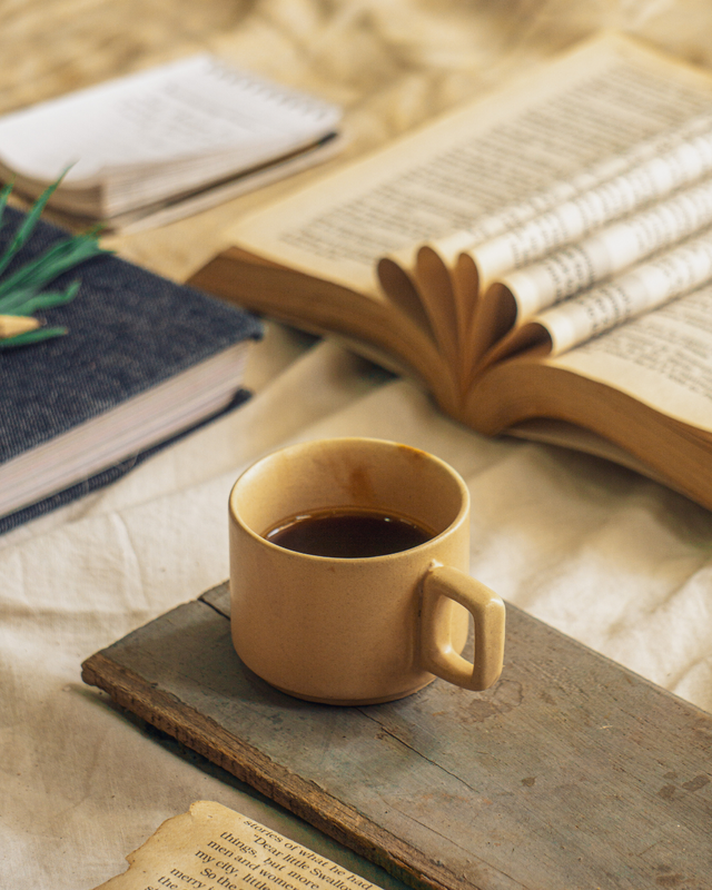 Beige Brown Simple Books and Coffee Instagram Post.png