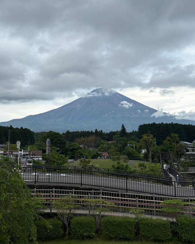 IMG_7853.jpeg