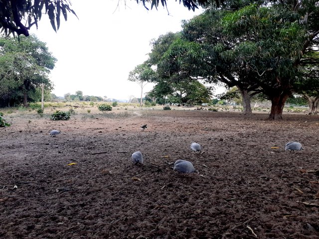 20250418_163350.jpg
