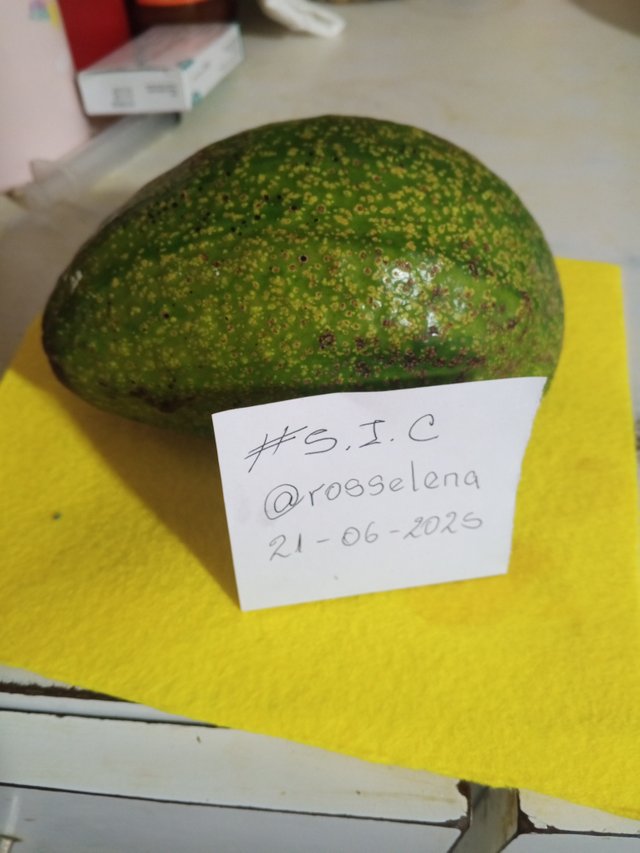 1000066816.jpg