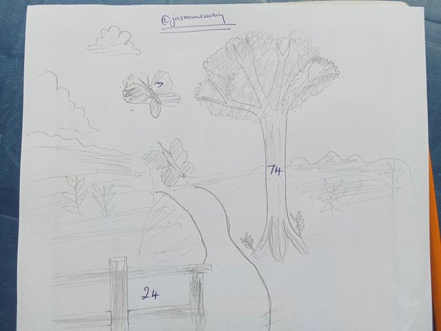 1000392150.jpg