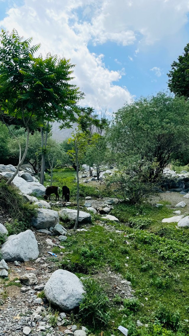 nangialai-stoman-5mLS8-LPDdc-unsplash.jpg