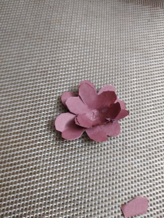 20250706_135910.jpg