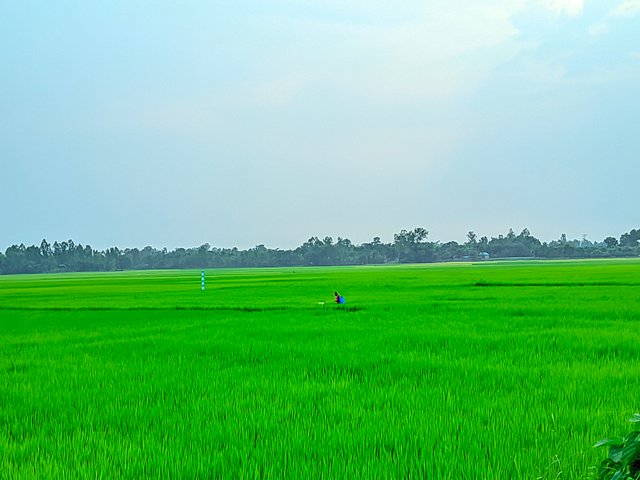 1000047769.jpg