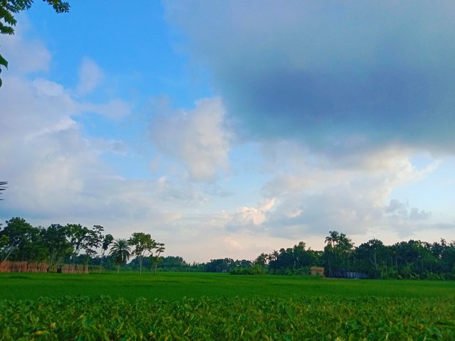 IMG_20250908_060653.jpg