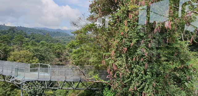 Queen Sirikit Botanical Garden38.jpg