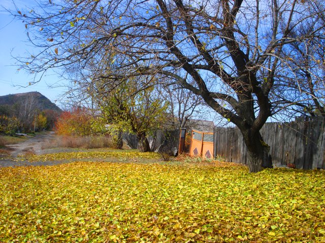 DSC03359.JPG