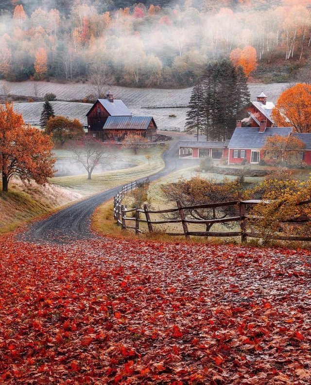 #Morning mist in #Huntington, #Vermont. #farm.jpg