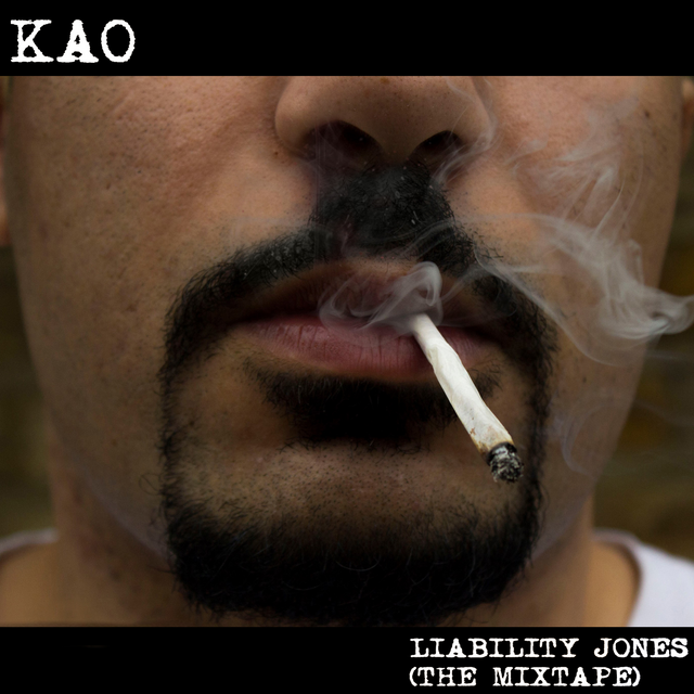 LIABILITY JONES cover.png