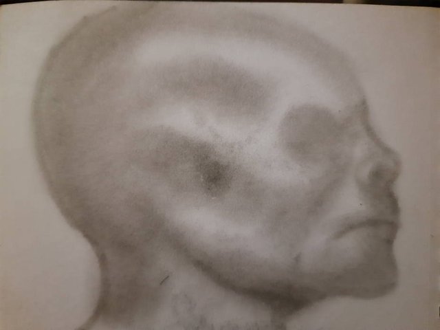 20250511_091424.jpg