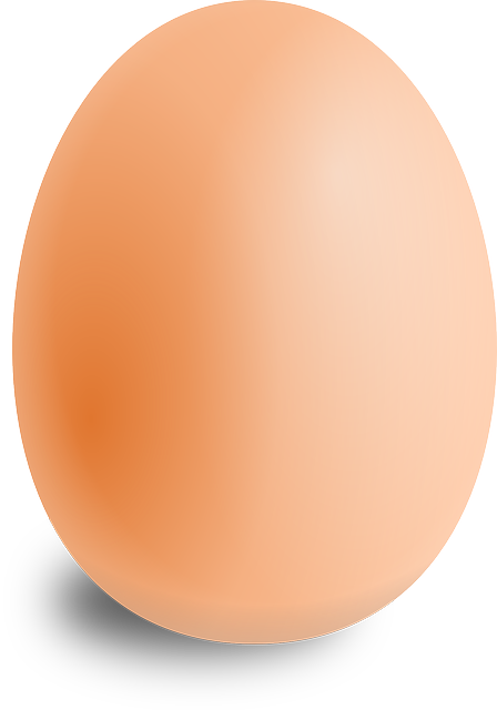 egg-157224_640.png