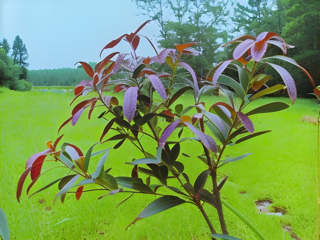 20230618_172558.jpg