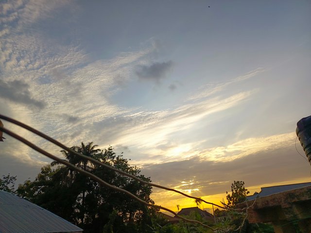 1000553503.jpg