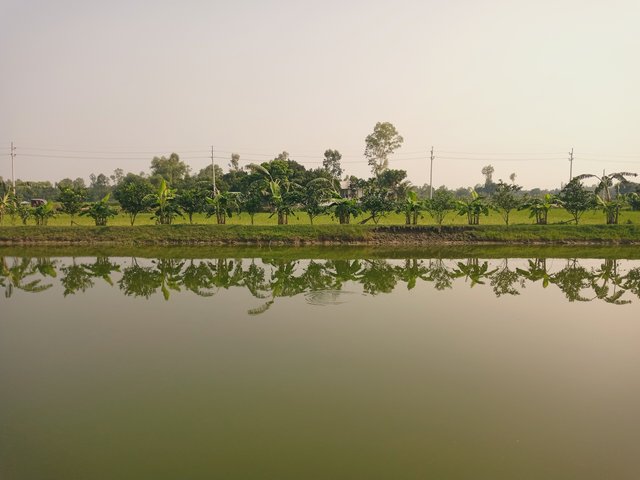 IMG_20250610_160251_562.jpg