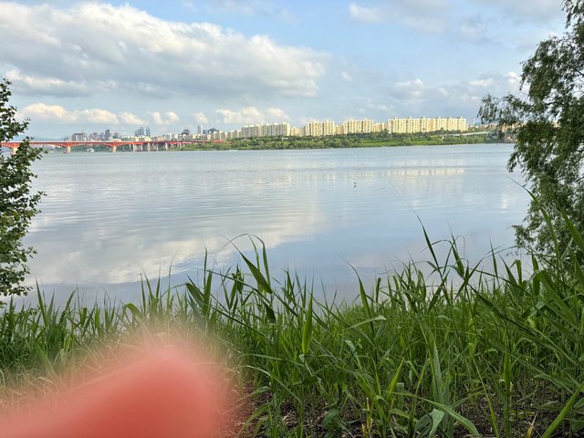 IMG_5134.jpeg