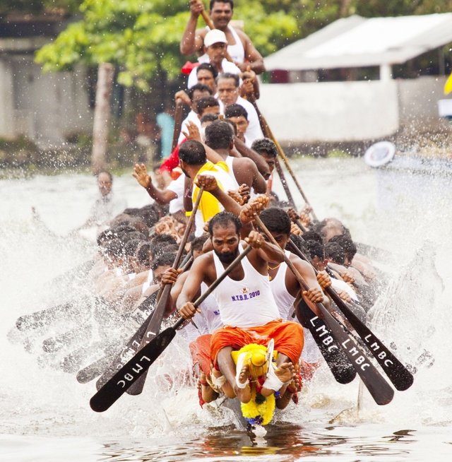Snake-Boat-Race-Kerala.jpg