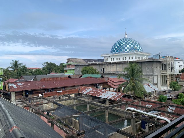 IMG_1931.jpeg
