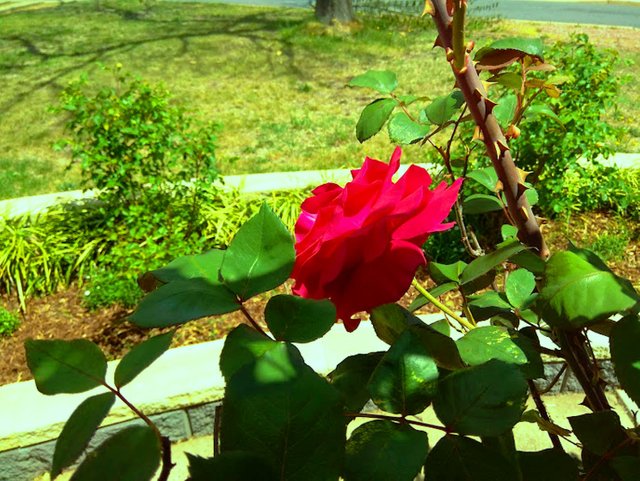 IMG_20181024_122514.jpg