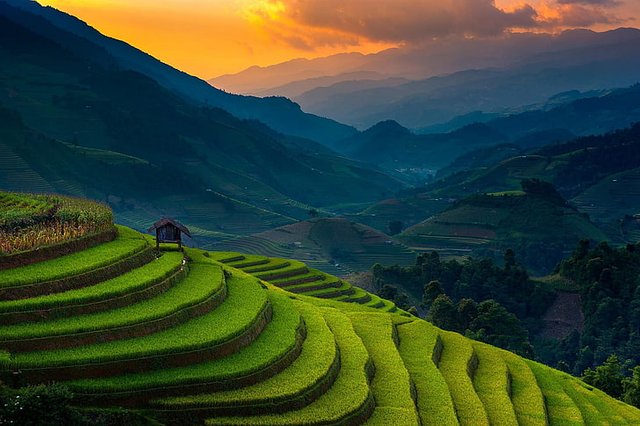 landscape-nature-rice-paddy-terraces-wallpaper-preview.jpg