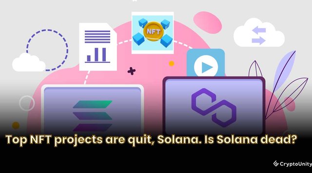 Top NFT projects are quit, Solana. Is Solana dead.jpg