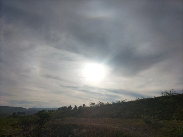 IMG20250419074832.jpg