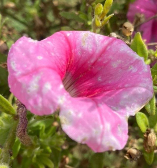 IMG_3994.jpeg