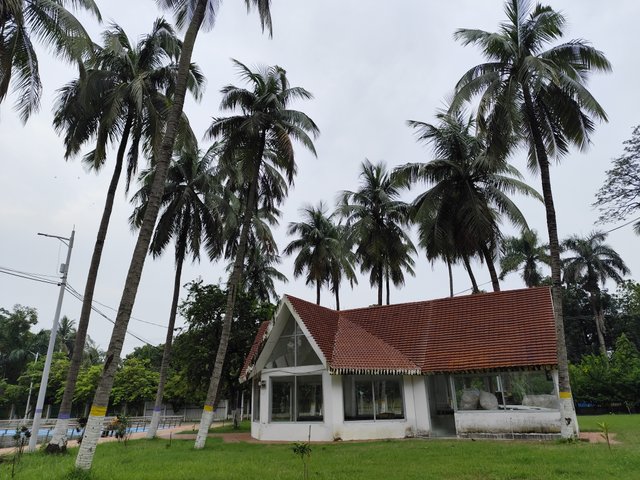 IMG_20250805_163422.jpg