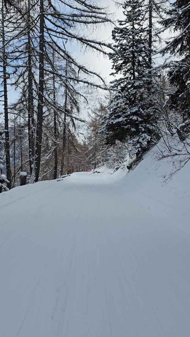 VideoCapture_20250107-143436.jpg