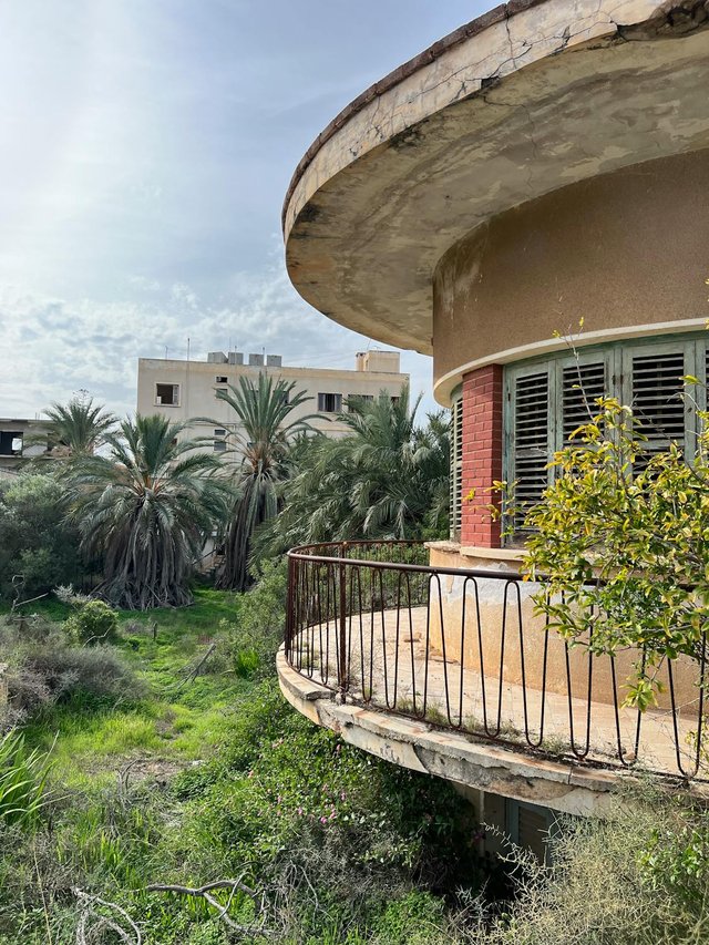 free-photo-of-houses-among-palm-trees.jpeg