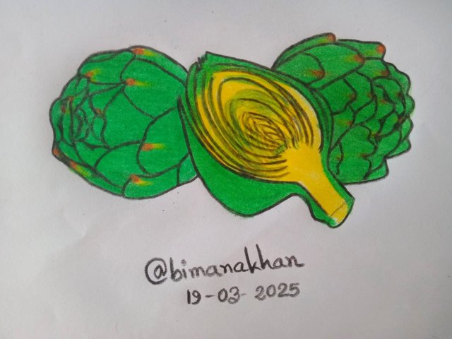 Artichoke (2).jpg