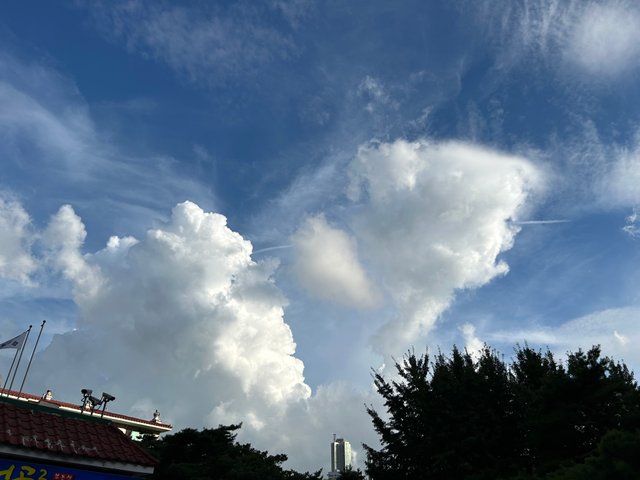 IMG_9722.jpeg