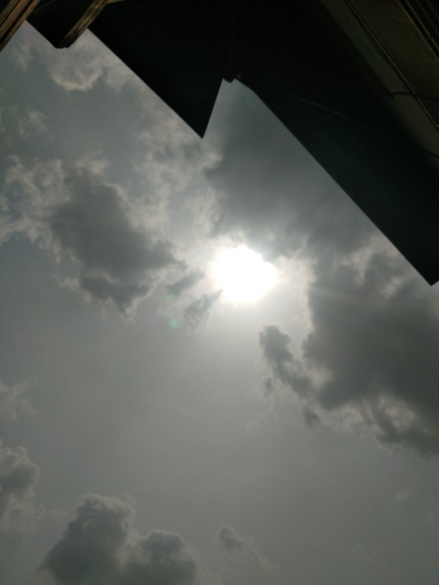 IMG_20210209_142218.jpg