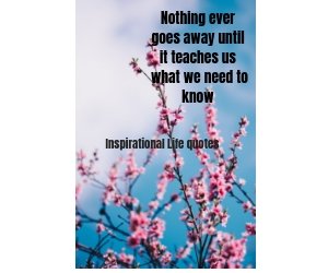 Nothing ever goes away until it teaches us what we need to know.jpg