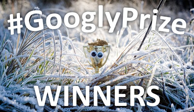 GooglyPrize GooglyEyes TitleImage Vol112