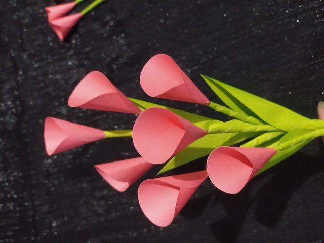 1000011092.jpg