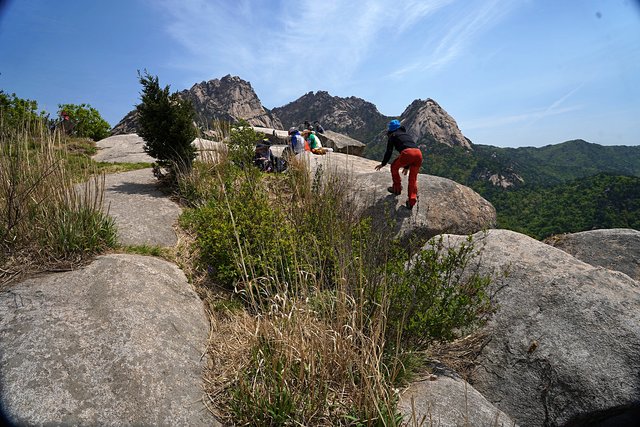 DSC08515.JPG