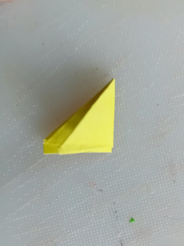 1000039063.jpg