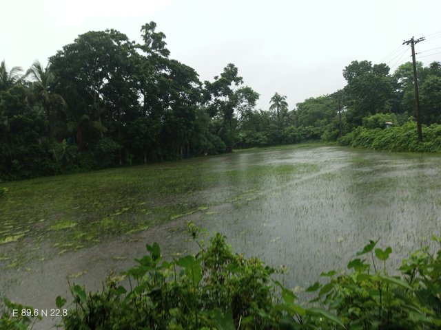 IMG_20250708_081121_063.jpg