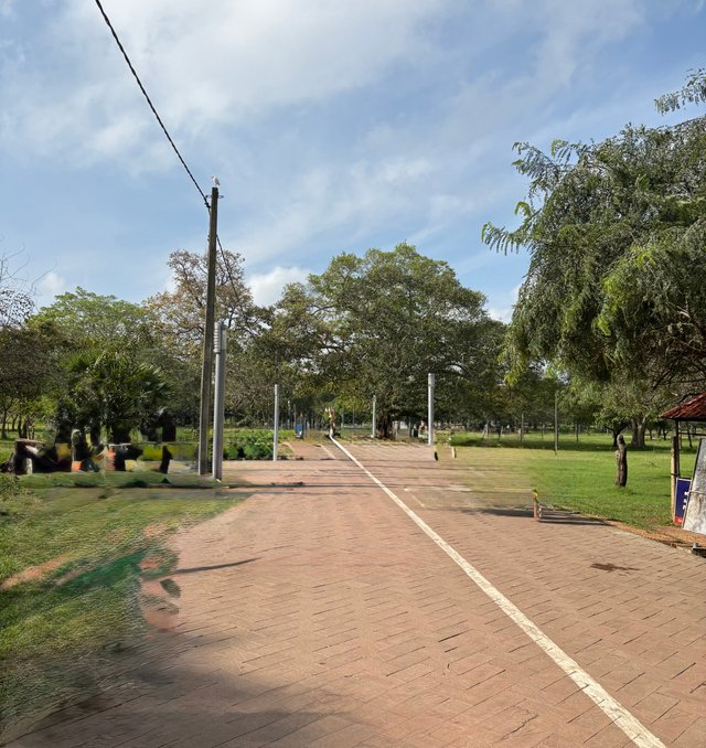 IMG_0240.jpeg