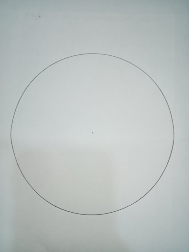 1000027229.jpg